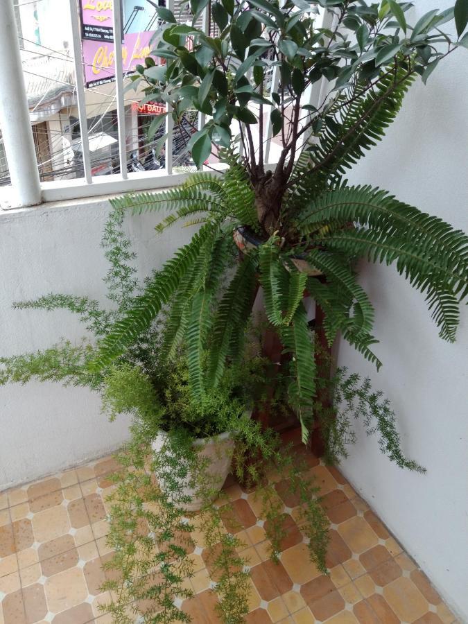 Da Lat 24H Guesthouse & Hotel المظهر الخارجي الصورة